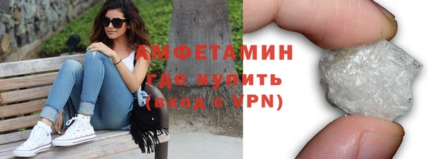 мдпв Бородино