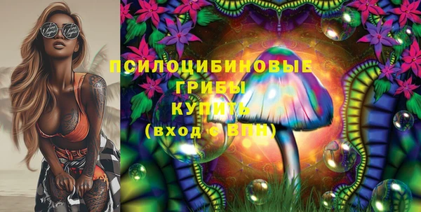 мдпв Бородино