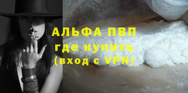 мдпв Бородино