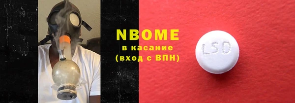 мдпв Бородино