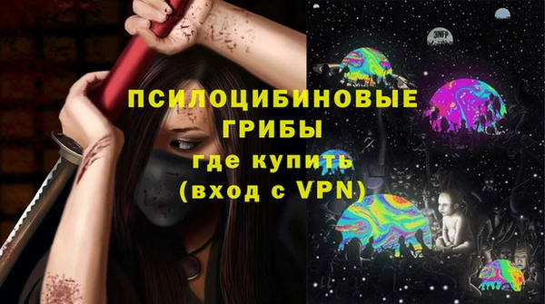 МДПВ Бугульма