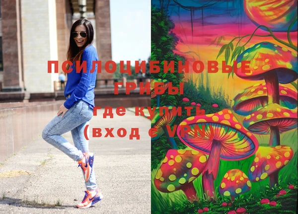 мдпв Бородино