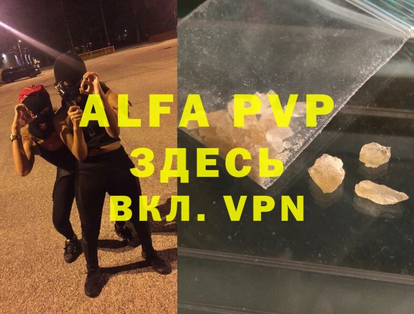 мдпв Бородино
