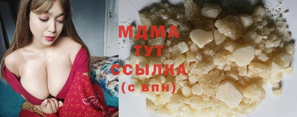 мдпв Бородино